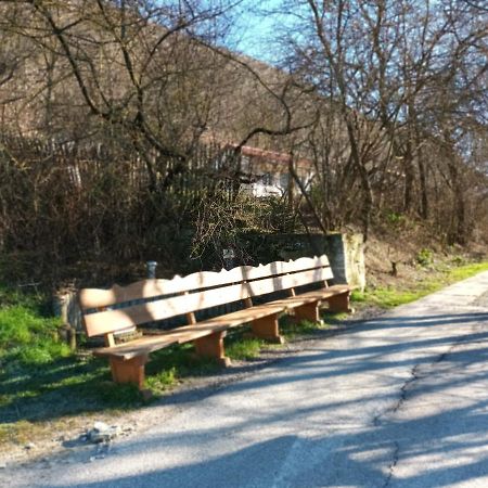 Ferienwohnung Naumburgliebe Naumburg  Eksteriør billede