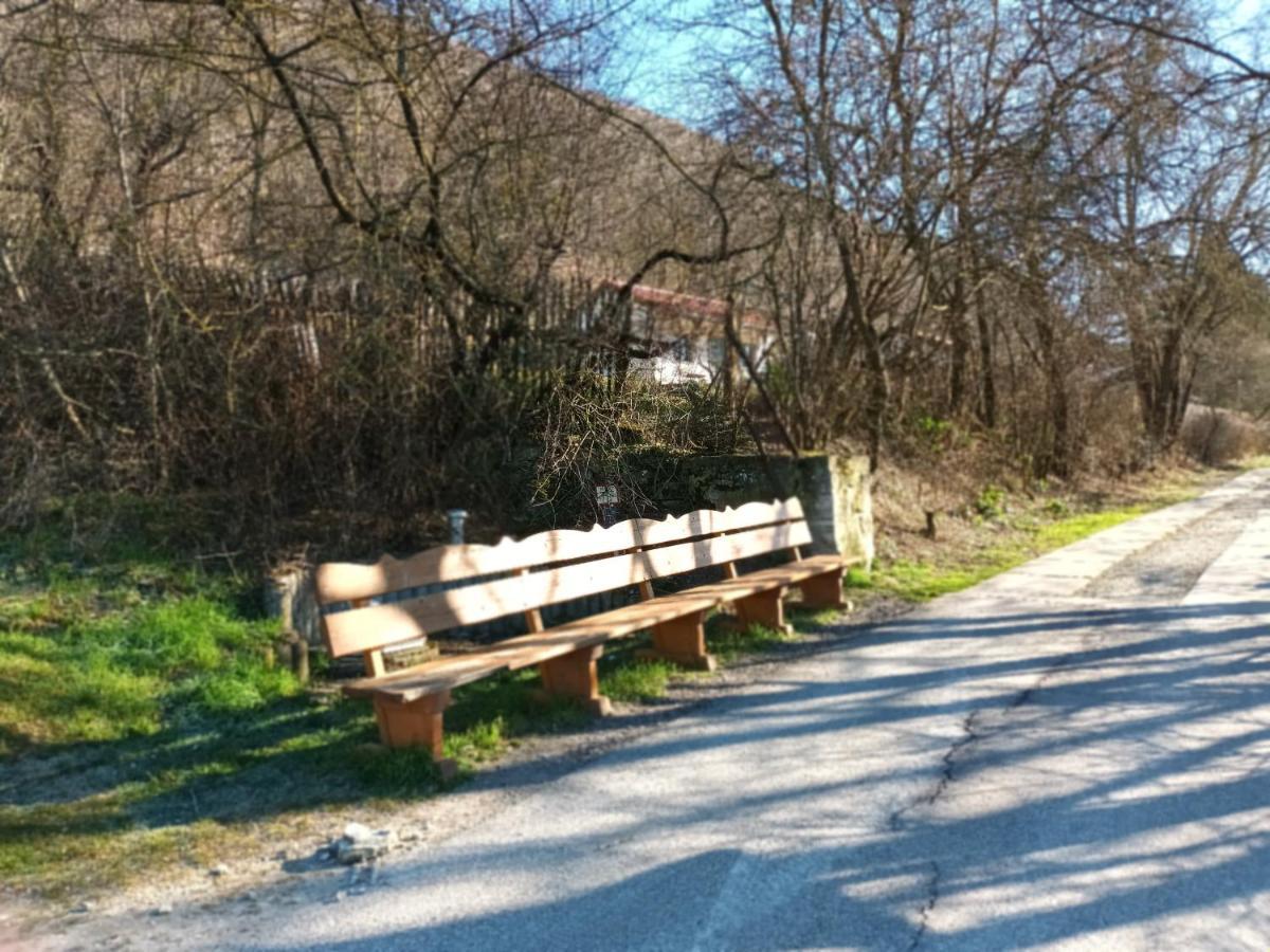 Ferienwohnung Naumburgliebe Naumburg  Eksteriør billede