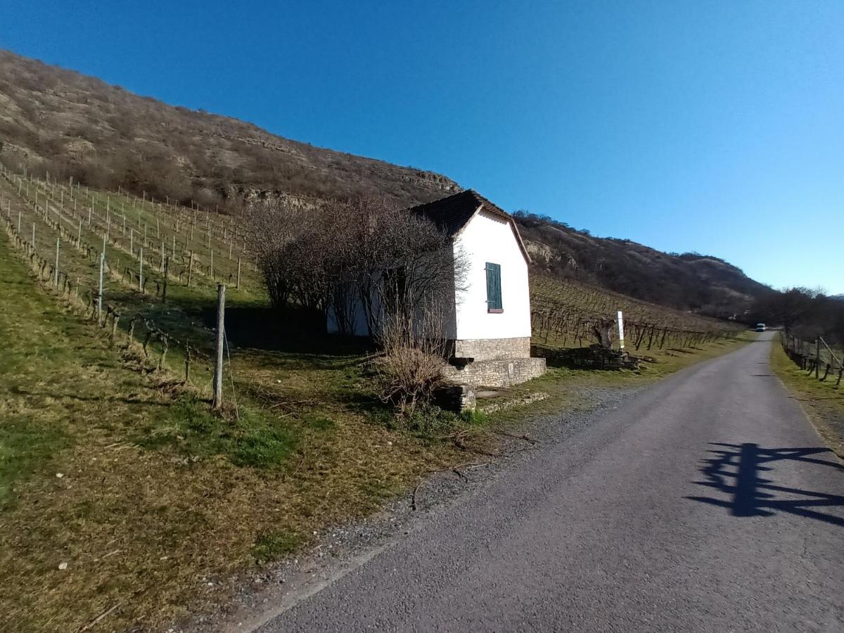 Ferienwohnung Naumburgliebe Naumburg  Eksteriør billede